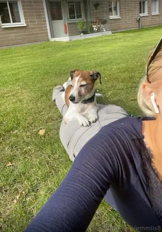 Emma media 3